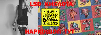 spice Свободный