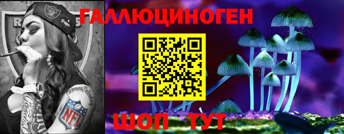 Спасск-Дальний  Галлюциногенные грибы Psilocybine cubensis  Вход с VPN 